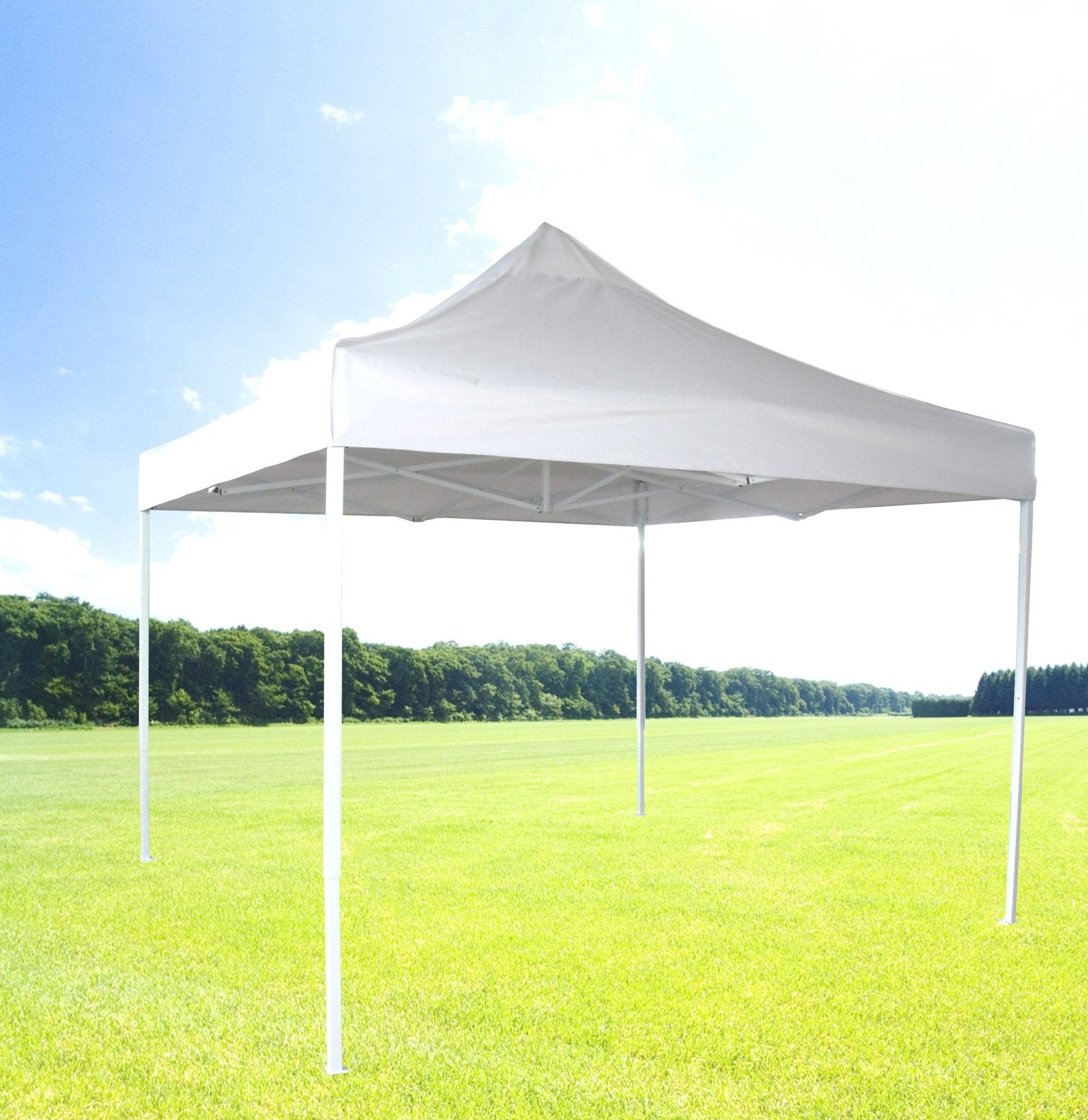 Zenport AGT3M Solar Guard Canopy, 10x10-Foot