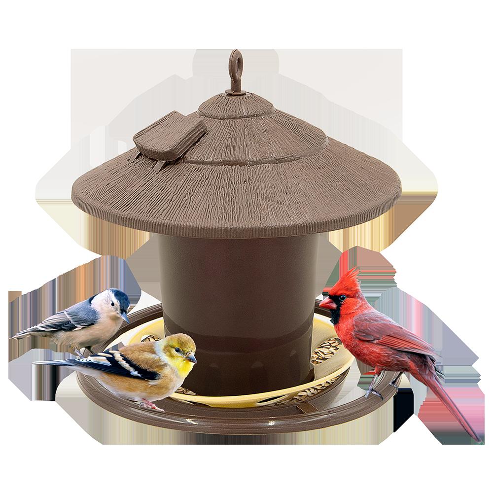 Zenport D450 Plastic, Hanging Bird Feeder, Brown