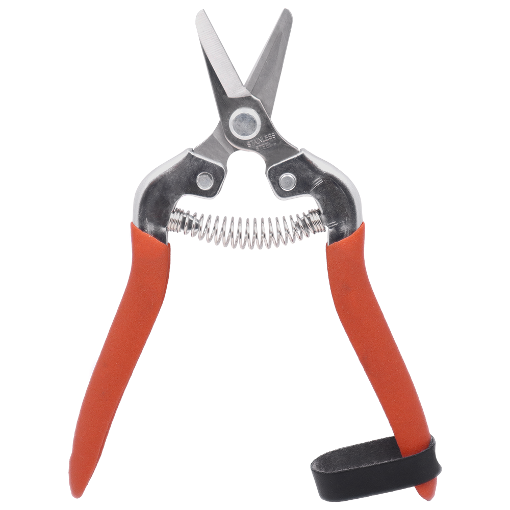 Zenport H301S Harvest Shear, Short Straight, 1 Inch Inch Stainless Steel Blades, Red
