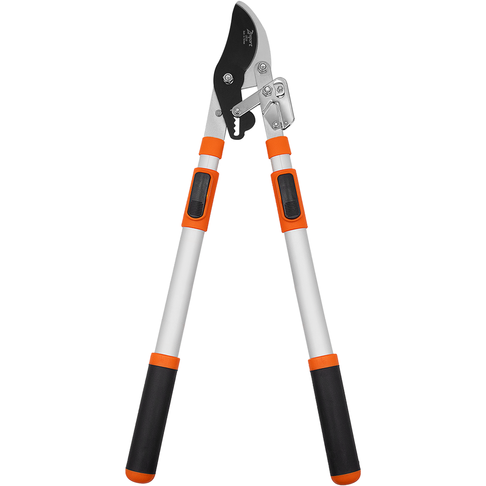 Zenport LRT10 Telescopic Ratchet Bypass Lopper, Silver