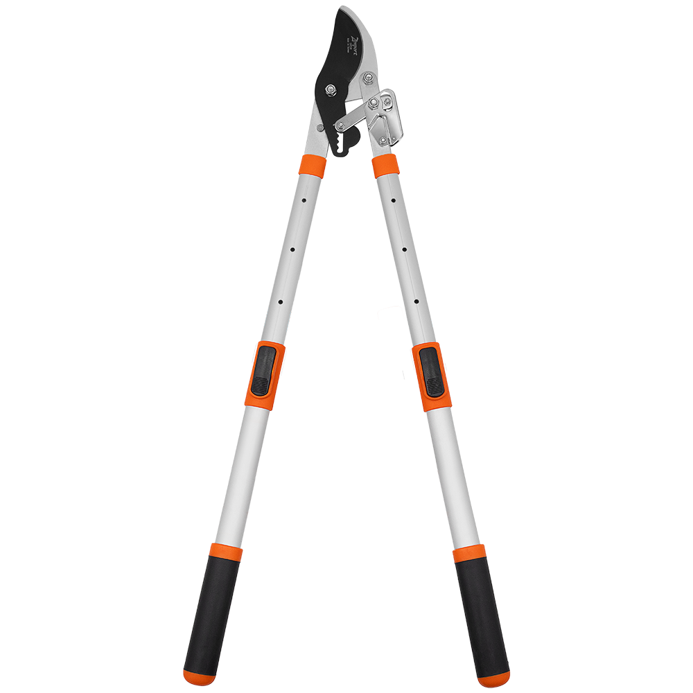 Zenport LRT10 Telescopic Ratchet Bypass Lopper, Silver