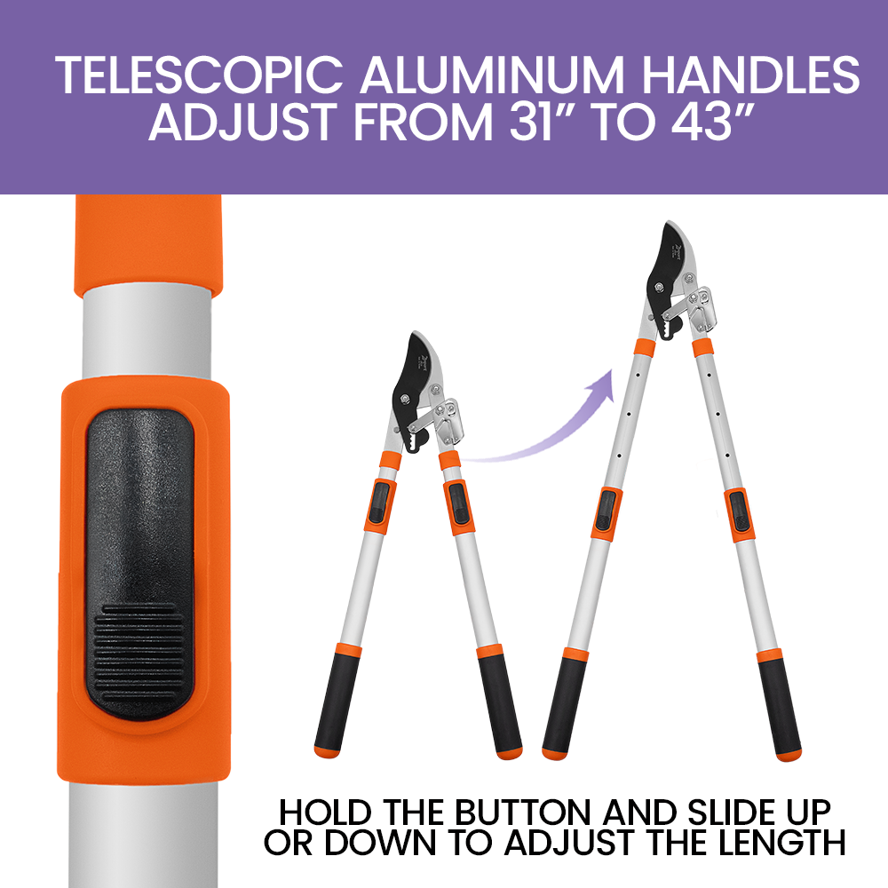 Zenport LRT10 Telescopic Ratchet Bypass Lopper, Silver