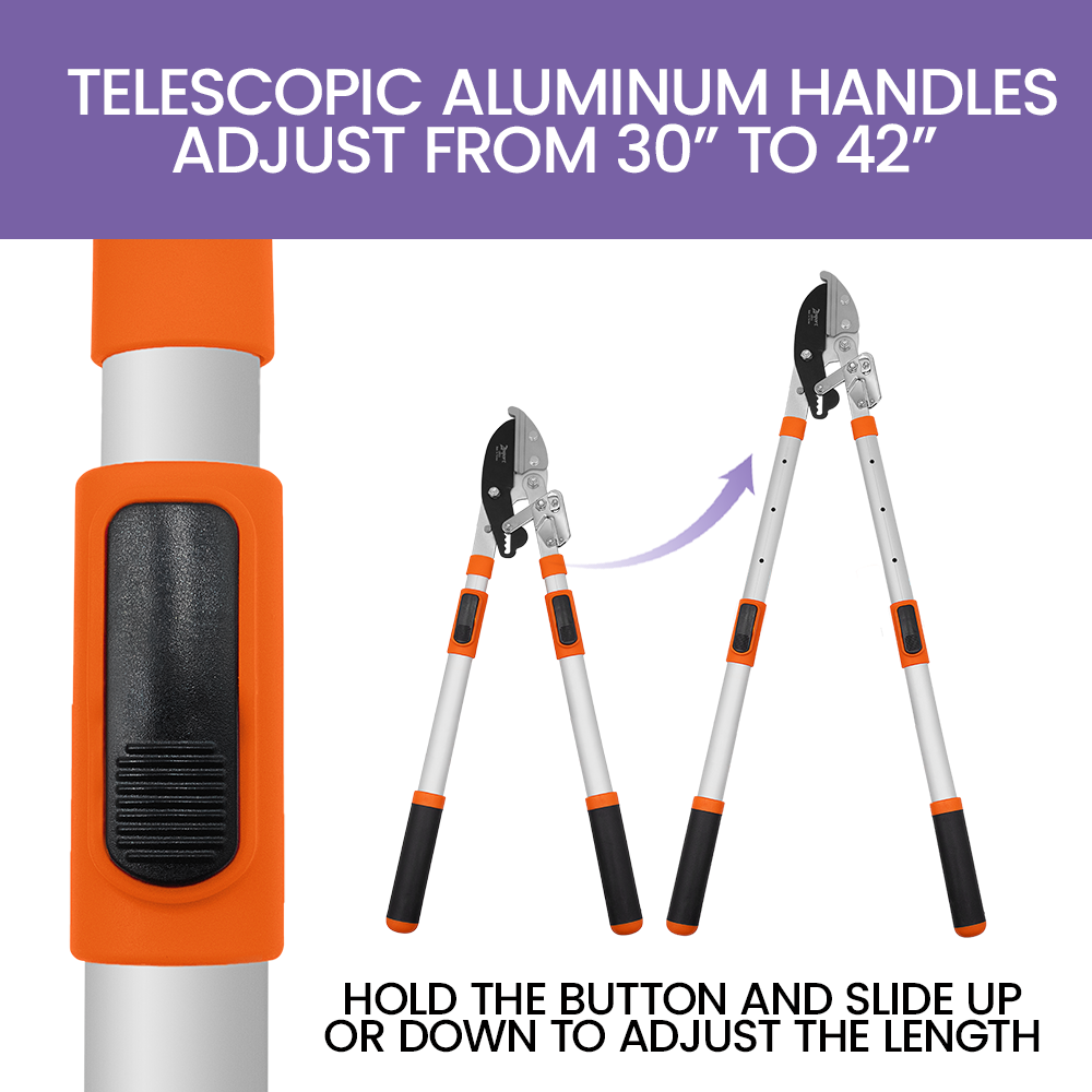 Zenport LRT11 Telescopic Ratchet Anvil Lopper, Silver