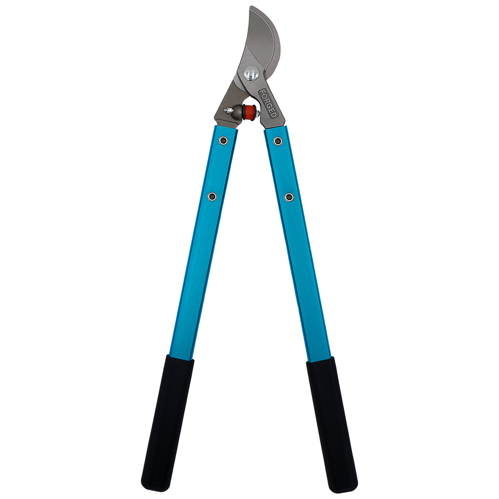 Zenport MV20 Professional Vine and Light Tree Lopper, 20-Inch Long, Blue