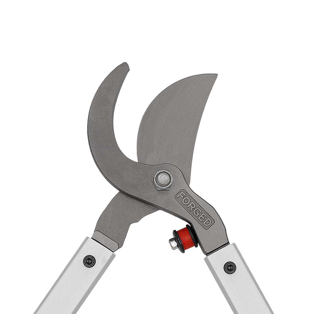 Zenport MV26 Professional Vine and Tree Lopper, 26-Inch Long, White