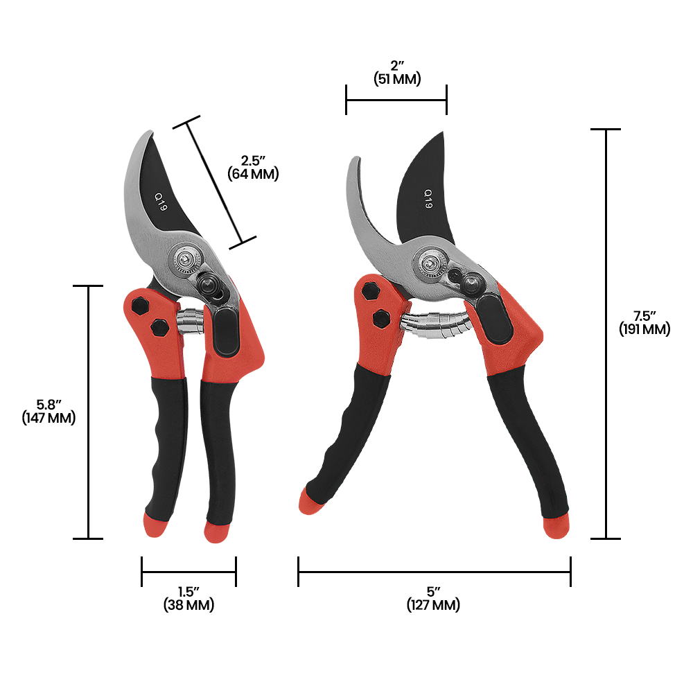 Zenport Q19 Euro-Pro Small Horticulture Pruner, 7.75-Inch, Red/Black