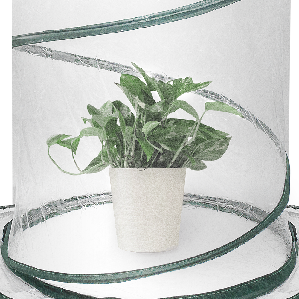 Zenport SH3240 Portable Pop Up Greenhouse, 26-Inches High, Green