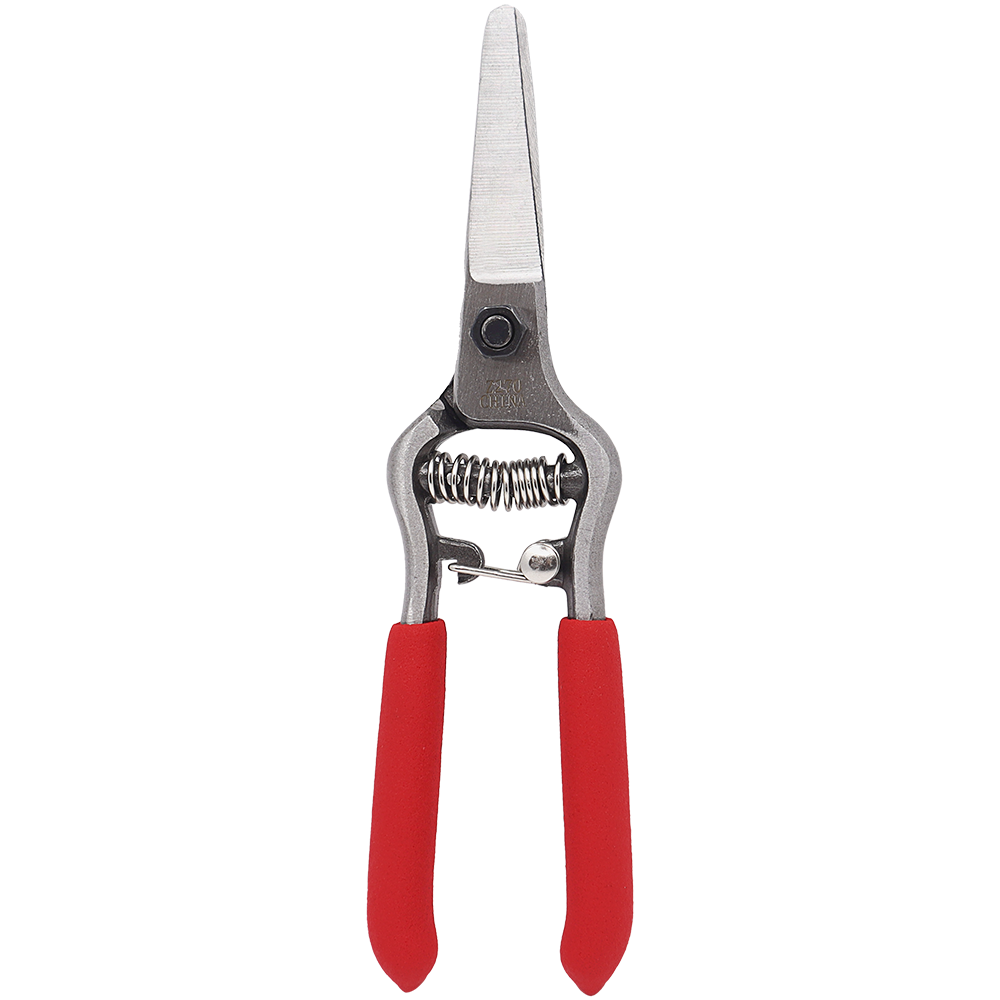 Zenport Z270 6” Forged Straight Blade Needle Nose Shear, 1.5 Inch Blades, Red