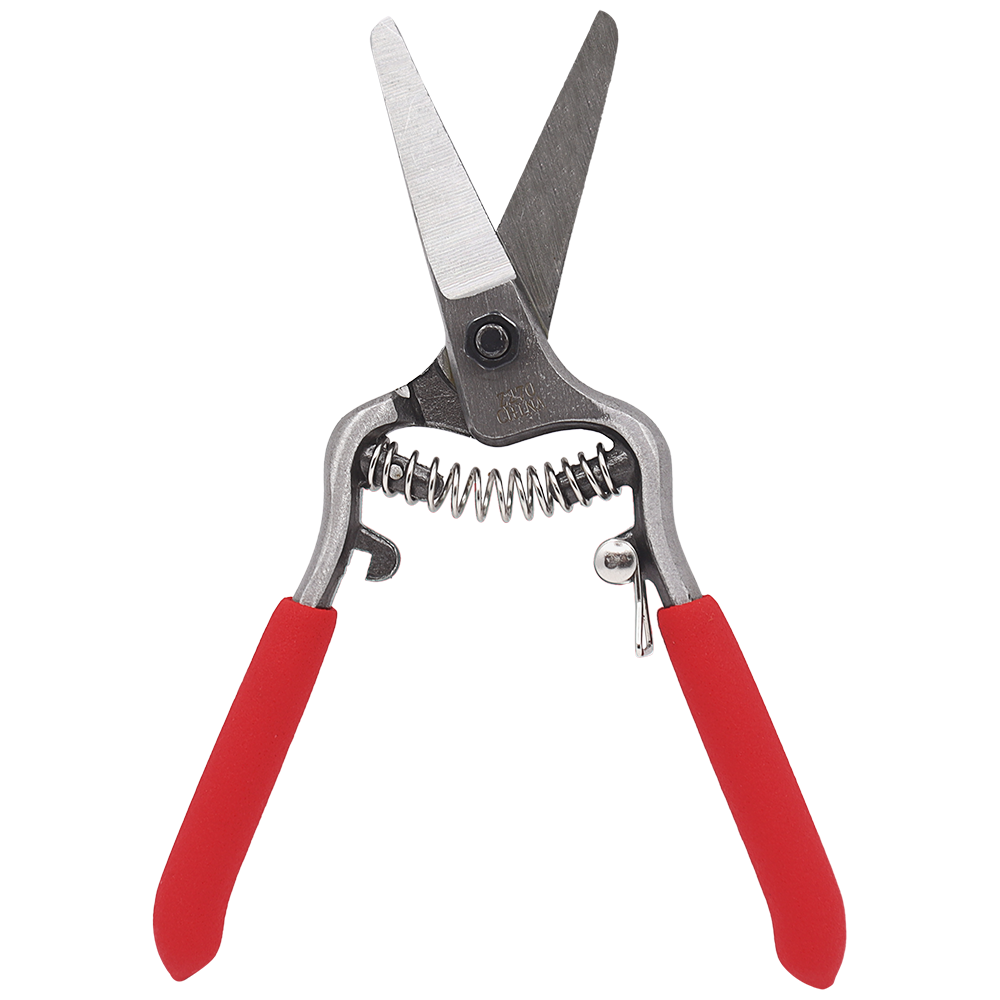 Zenport Z270 6” Forged Straight Blade Needle Nose Shear, 1.5 Inch Blades, Red