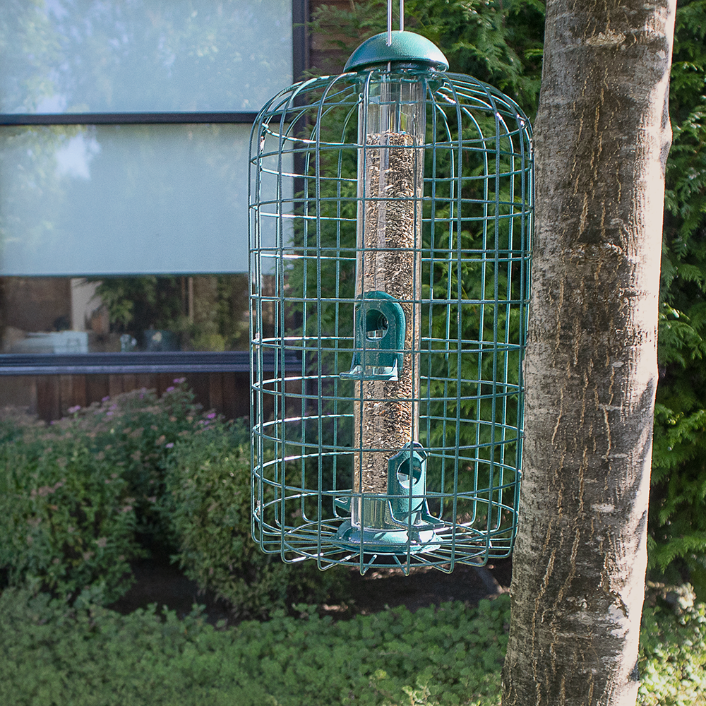 Zenport Z38002 Squirrel Resistant Caged Bird Feeder, Green
