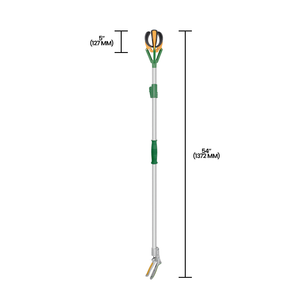 Recolector de frutas telescópico de largo alcance Zenport ZL6146A, extensión de 1,8 m, plateado