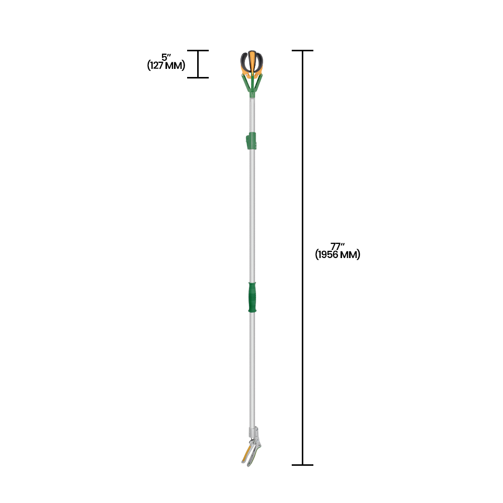 Recolector de frutas telescópico de largo alcance Zenport ZL6146B, extensión de 3 metros, plateado