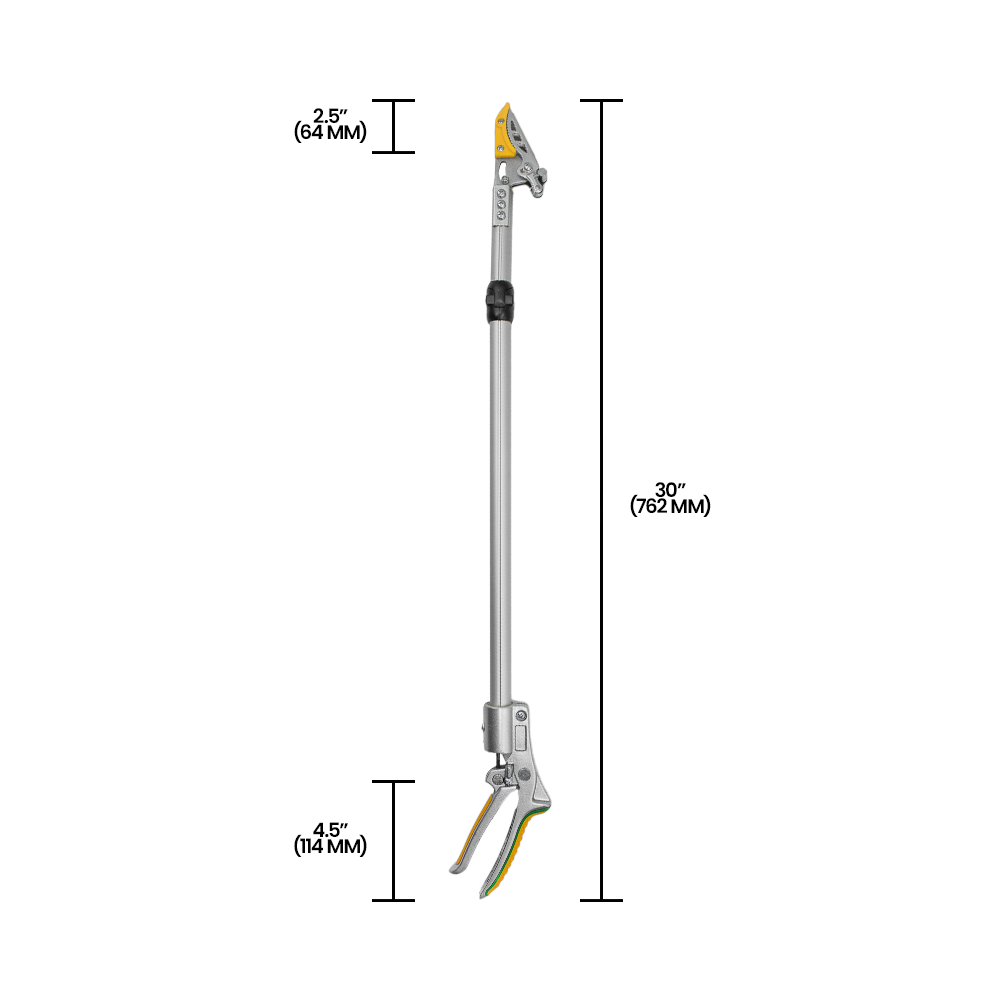 Zenport ZL646 Fixed Length Long Reach Pruner, 29-Inch