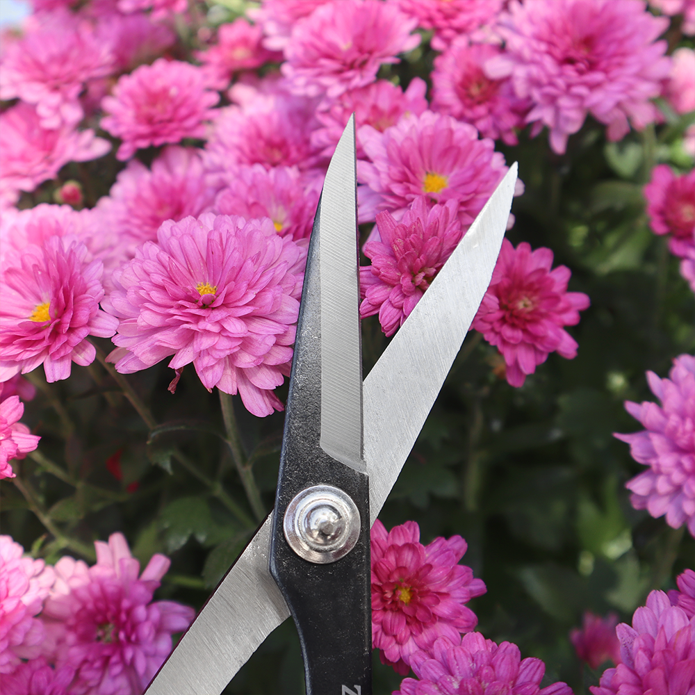 Zenport ZS105 Deluxe Garden Scissors, 6.5-Inch, 1.5 Inch Carbon Steel Blades, Red/White