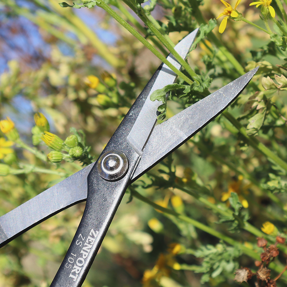 Zenport ZS105 Deluxe Garden Scissors, 6.5-Inch, 1.5 Inch Carbon Steel Blades, Red/White