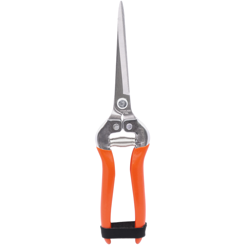 Zenport H312 Extra Long Harvest Shear, 3.25 Inch Stainless Steel Blades, Orange
