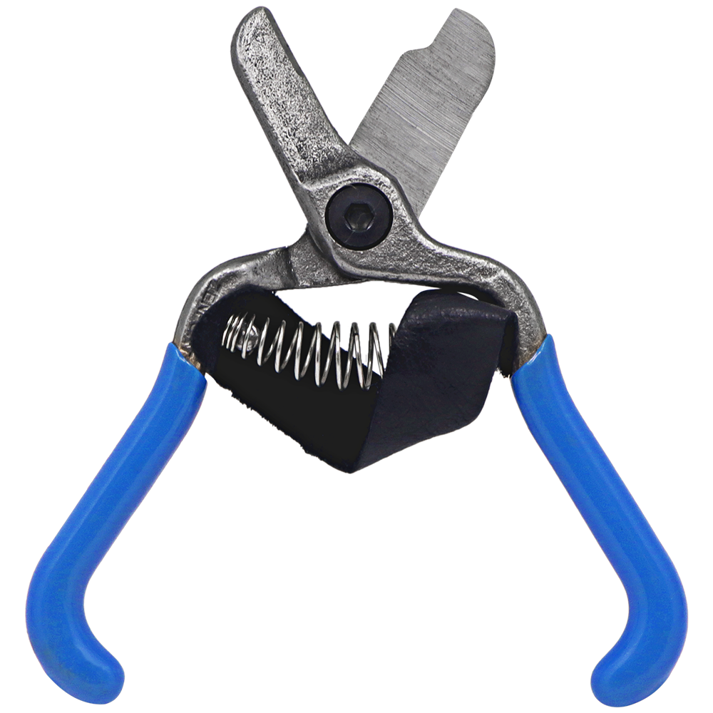 Zenport H322 Fruit Shears with Strap, Lemon Citrus Clipper, 5.5-Inch, Blue