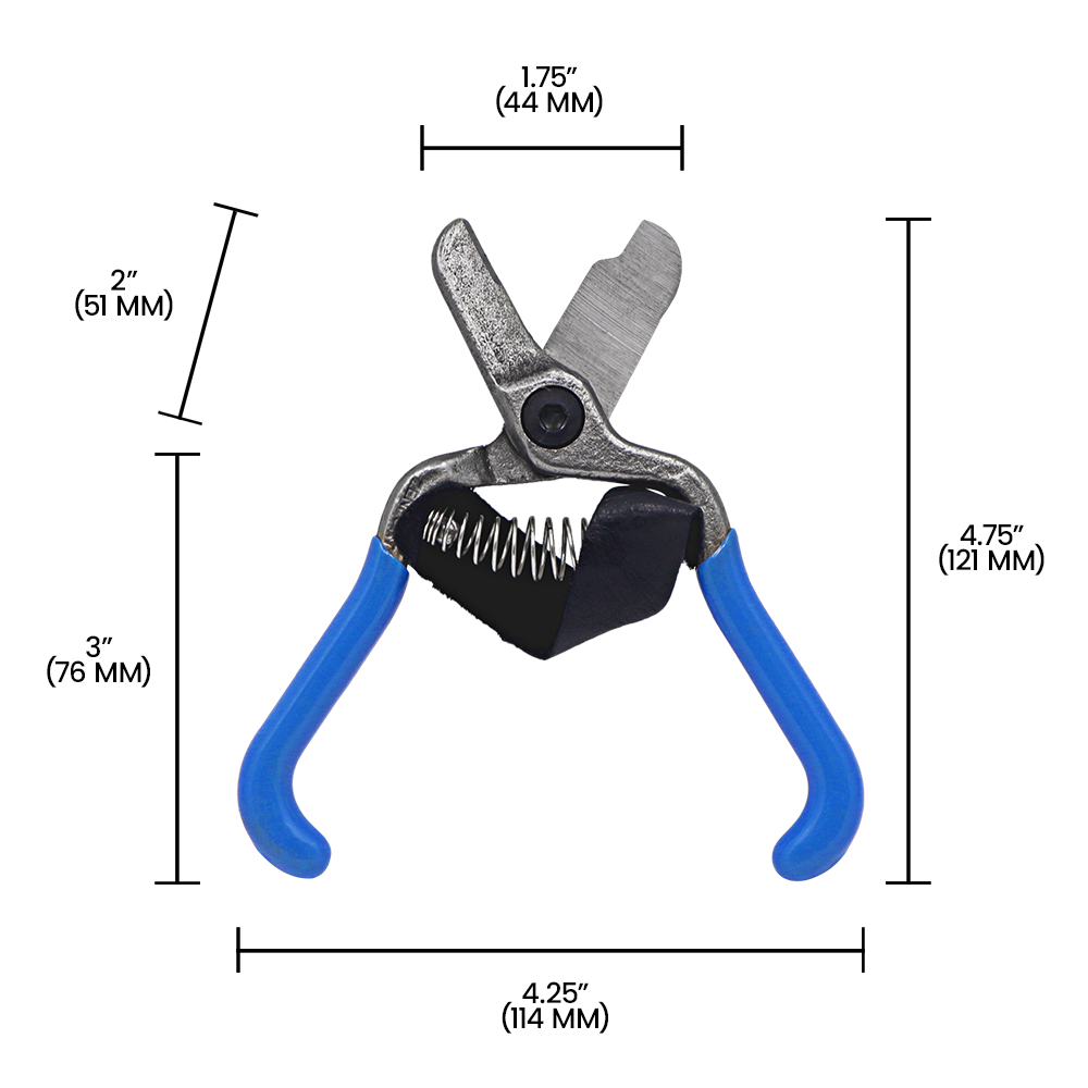 Zenport H322 Fruit Shears with Strap, Lemon Citrus Clipper, 5.5-Inch, Blue